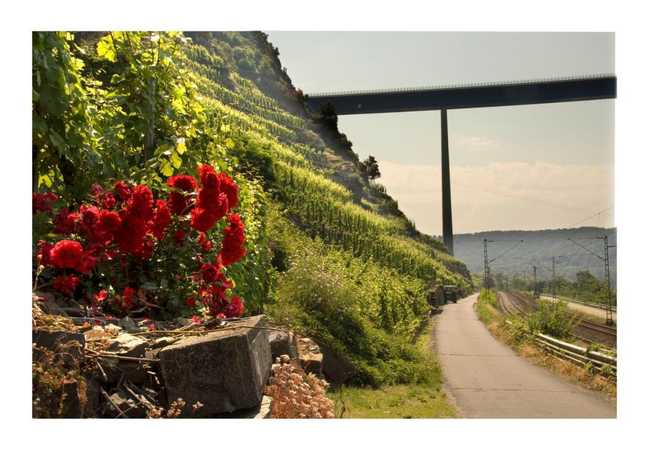 Alkener Elfenhaus Mit Kostenlosen Gaeste Ticket Zewnętrze zdjęcie